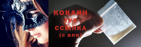 спиды Вяземский