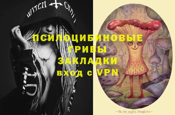 прущая мука Верея