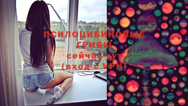 прущая мука Верея