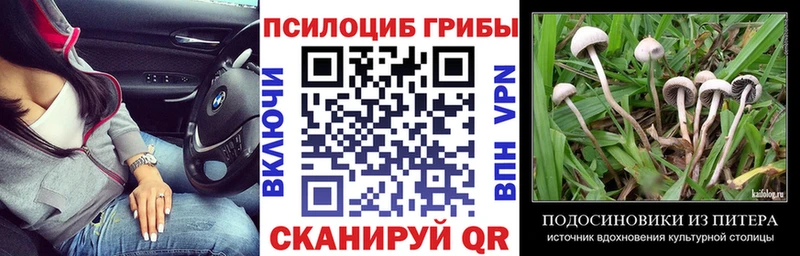 продажа наркотиков  Иннополис  гидра зеркало  Псилоцибиновые грибы MAGIC MUSHROOMS 